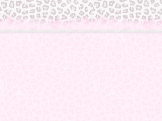 dsi-form screenshot