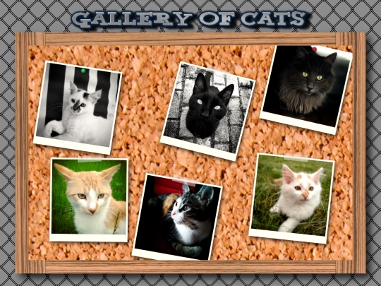 gallery screenshot