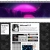 lins-treehouse.yorniq.xyz avatar