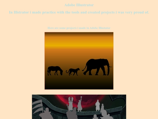 illustrator section screenshot