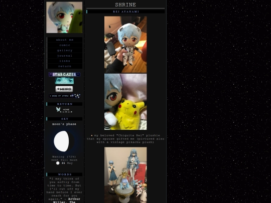 rei screenshot