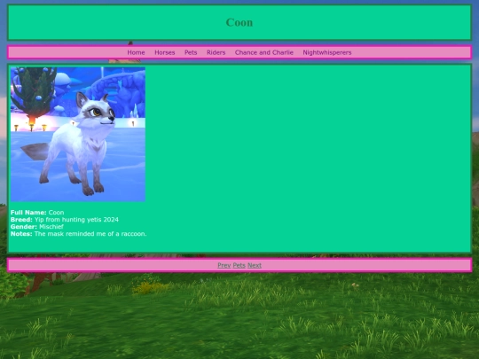 pets/coon screenshot