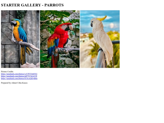 Starter Gallery (Parrots)/Starter Gallery Parrots screenshot
