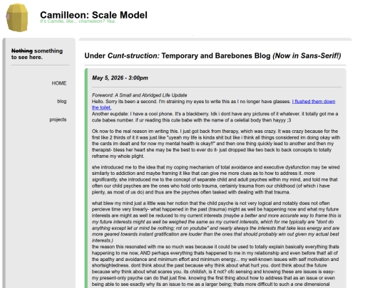 blog screenshot
