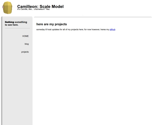 projects screenshot