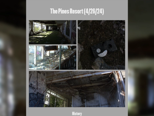The_Pines_Resort screenshot