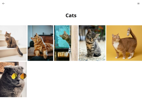 animals/cats screenshot
