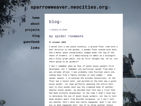 posts/2025-10-21-my-spider-roommate screenshot