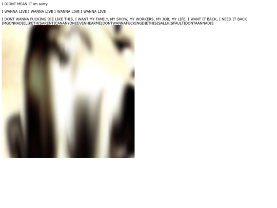 20091293 screenshot