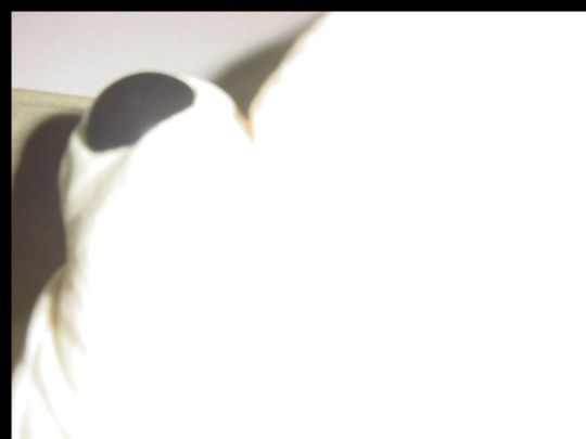 art/photo/hell/hell screenshot