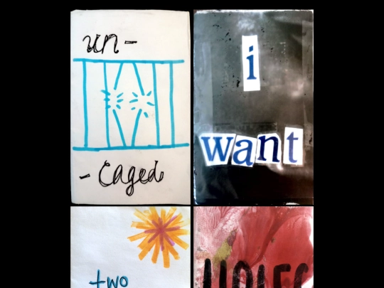 zines screenshot