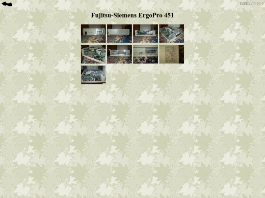 Fujitsu-Siemens_ErgoPro_451 screenshot