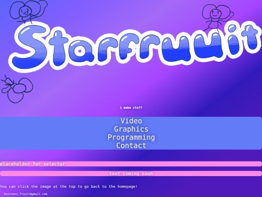 portfolio/programming screenshot