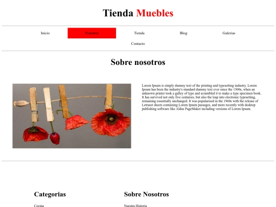 menu/nosotros screenshot