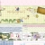 mickeyraes corner ♥ avatar
