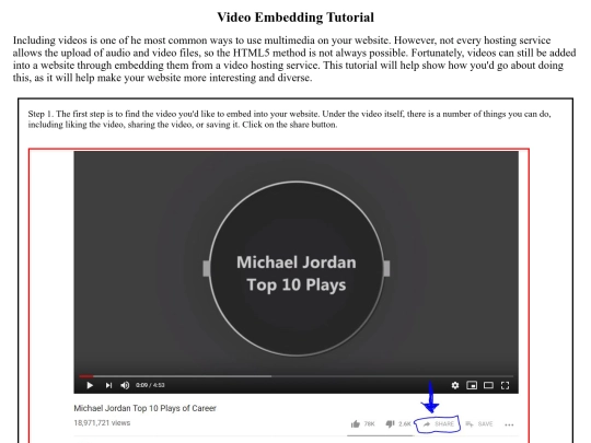 embed/embed screenshot
