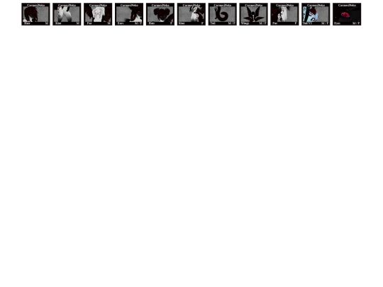 Fur_Outfits/CarmisiNeko screenshot