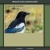 Lyrebird Home avatar
