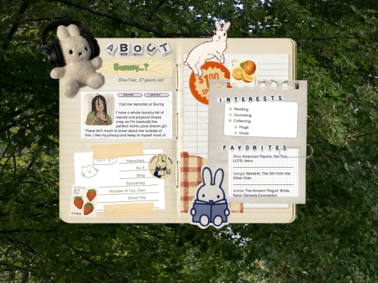 webmaster screenshot