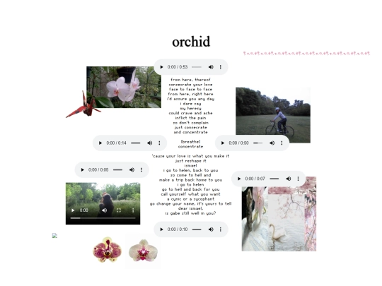 pages/orchid screenshot