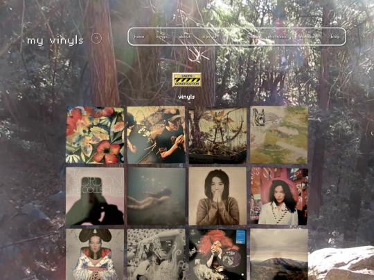 pages/vinyl screenshot