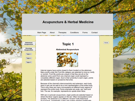 Topic1 screenshot