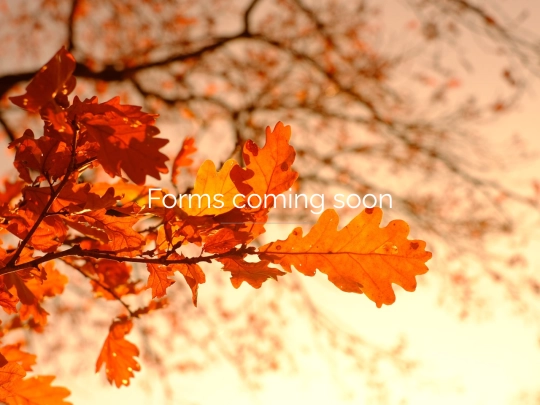 comingsoon screenshot