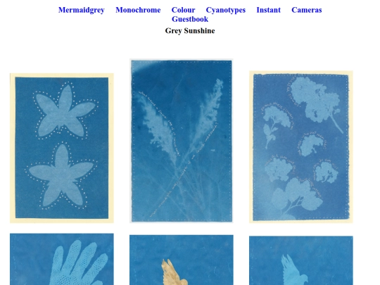 cyanotypes screenshot