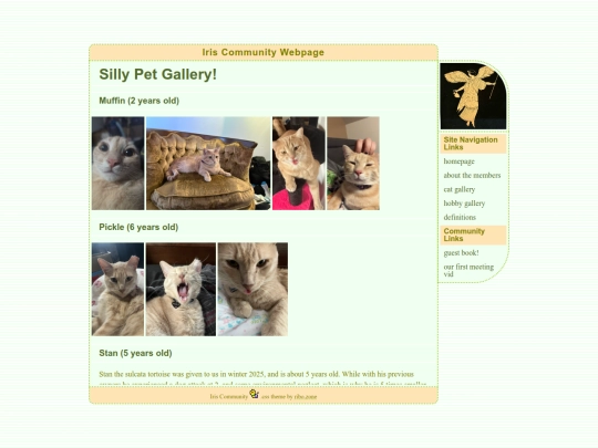 catgallery screenshot