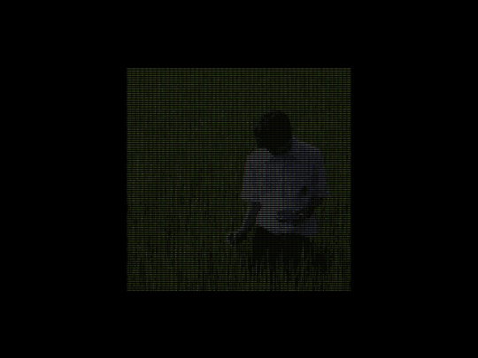 lily3 screenshot