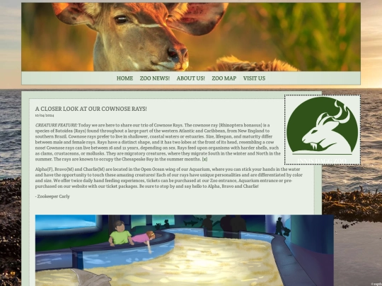 news screenshot