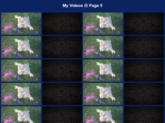 video5 screenshot