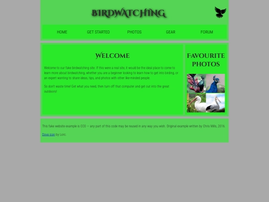 fake_bird_watching screenshot