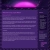 useratm0m0.yorniq.xyz avatar