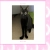 gibbonz.yorniq.xyz avatar