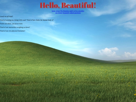 testing/beforeindex screenshot