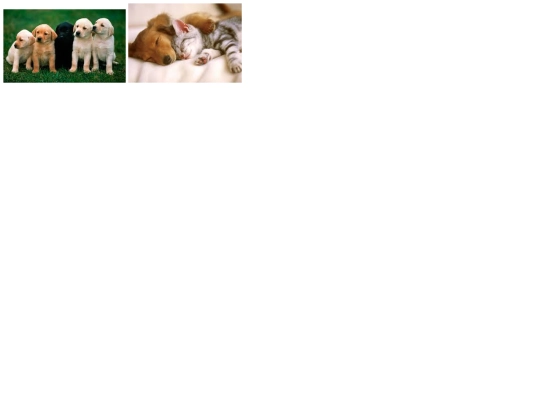 galeria screenshot