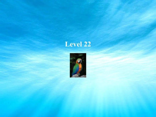 catfish/hogfish screenshot