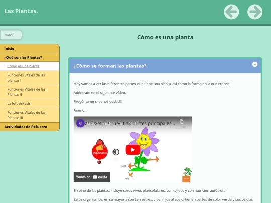 PRESENTACIÓNDELASPLANTAS/FINALFINAL/cmo_es_una_planta screenshot
