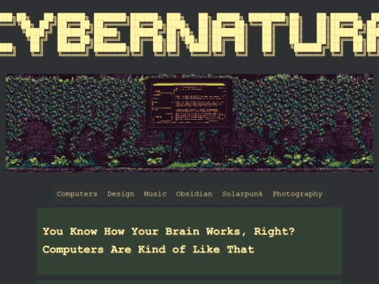 computers screenshot