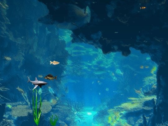iframe/content/aquarium screenshot