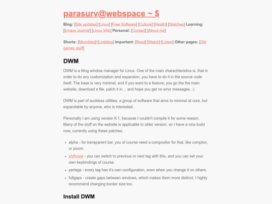 dwm screenshot