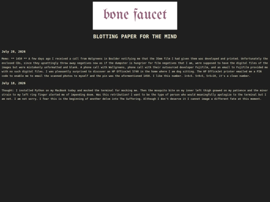 pages/blog screenshot