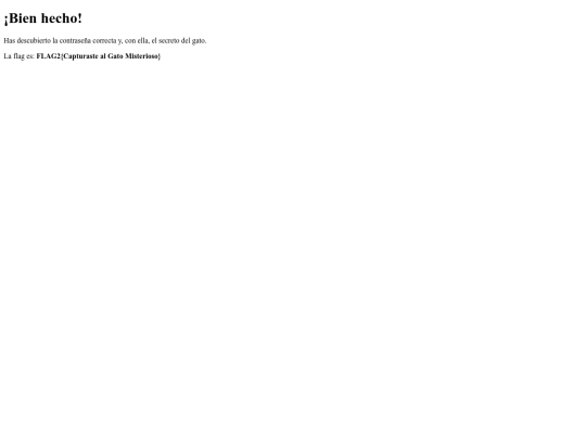 gato_flag screenshot