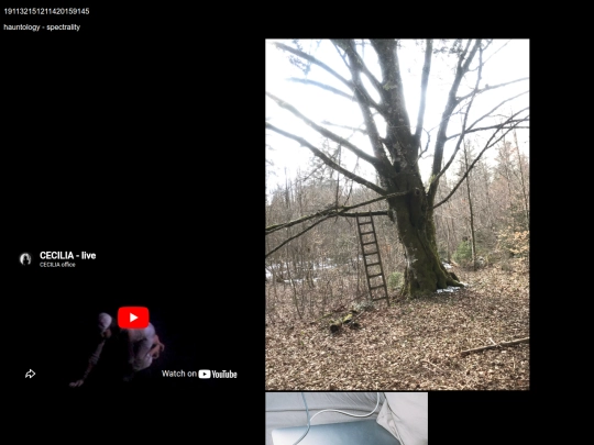 hauntologyspectrality screenshot