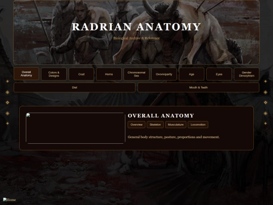 anatomy screenshot