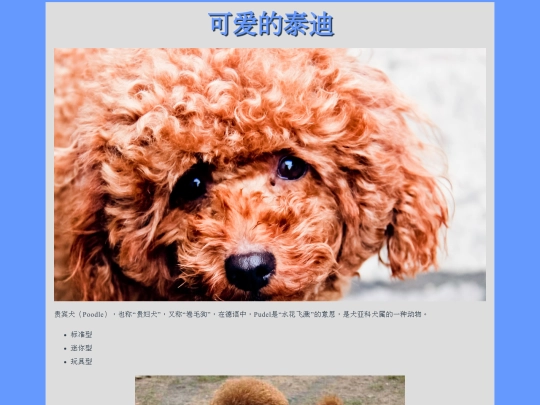 test-site screenshot