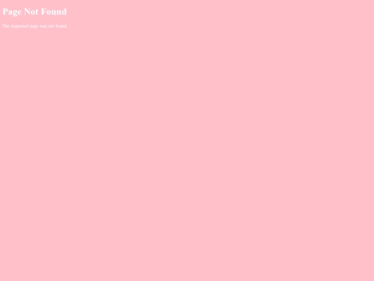 transfonter.org-20260115-153716/demo screenshot