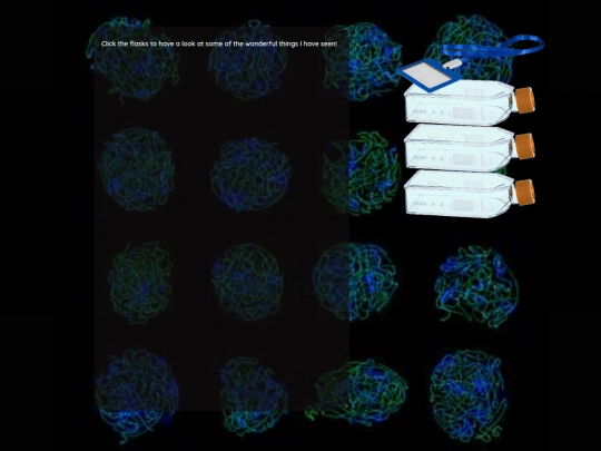 lab/labpictures screenshot