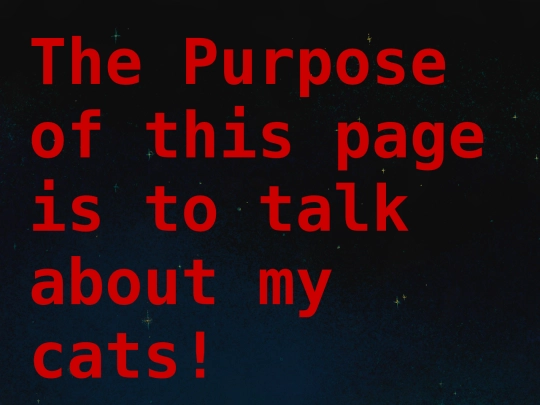 cats screenshot